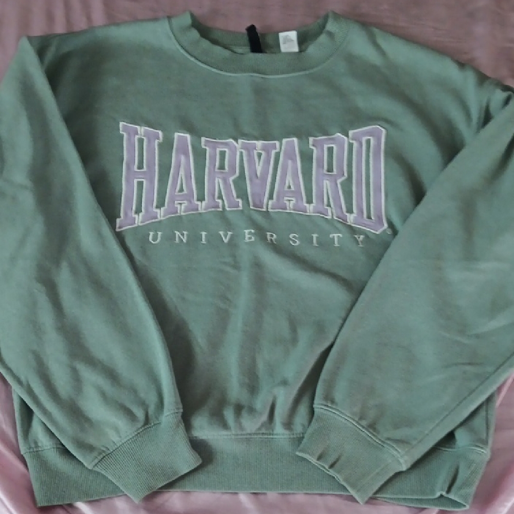 Divided Green Sweatshirt with Red Logo
